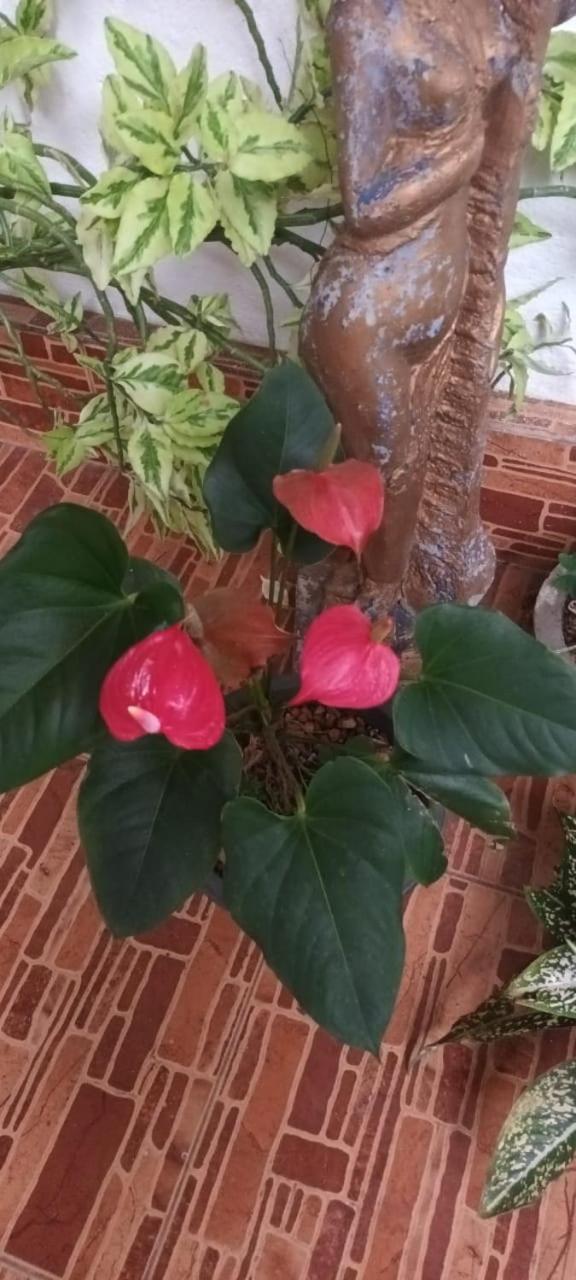 Leisure Home Kolombo Dış mekan fotoğraf